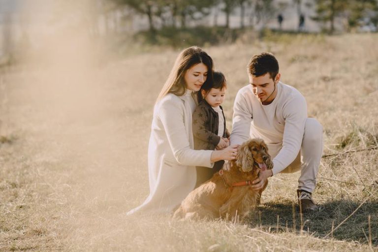 dog breed evolution traced