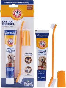 Keep Your Pup's Smile Healthy: Arm & Hammer Tartar Control Kit Review