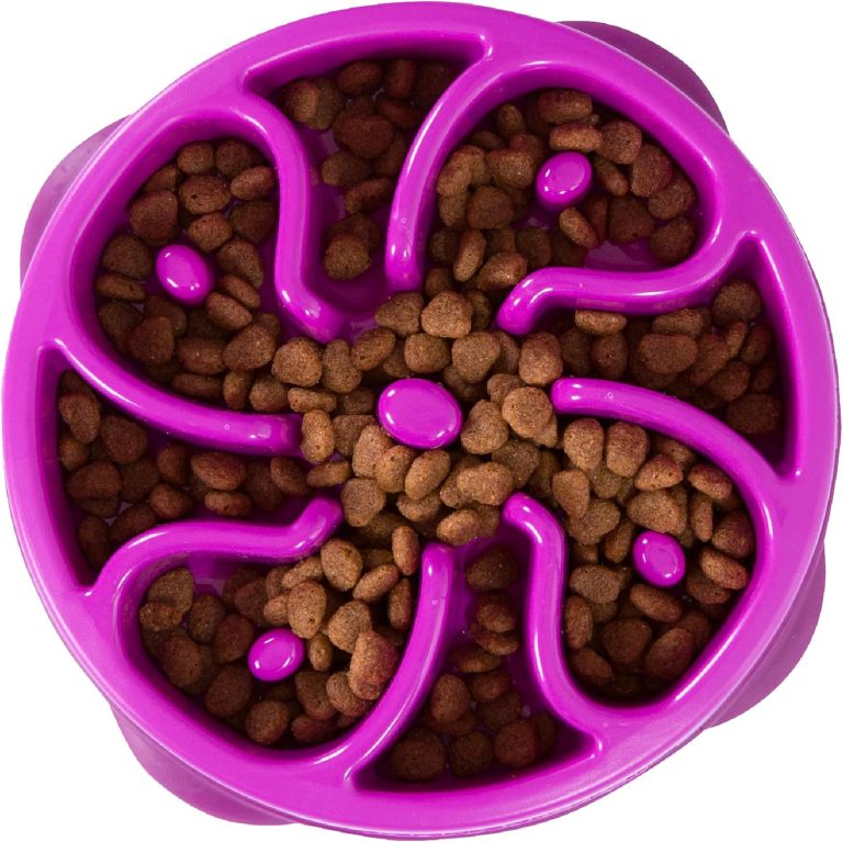 Tame Mealtime: A Review of the Outward Hound Fun Feeder Slo Bowl