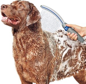 Transform Bath Time with the Waterpik Pet Wand Pro: The Ultimate Dog Shower Solution!