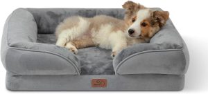 Transform Your Pup's Comfort: Review of the Bedsure Orthopedic Dog Bed for Medium Dogs
