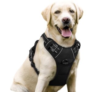 Ultimate Comfort: Reviews of the rabbitgoo No Pull Dog Harness for Large Breeds
