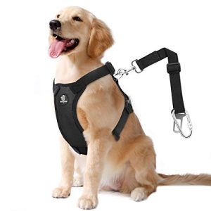 Ultimate Safety for Your Pet: The Heavy Duty Dog Seat Belt & Harness Combo
