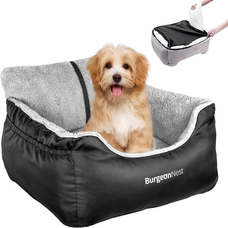 Travel in Comfort: BurgeonNest Dog Car Seat Review for Small Pets
