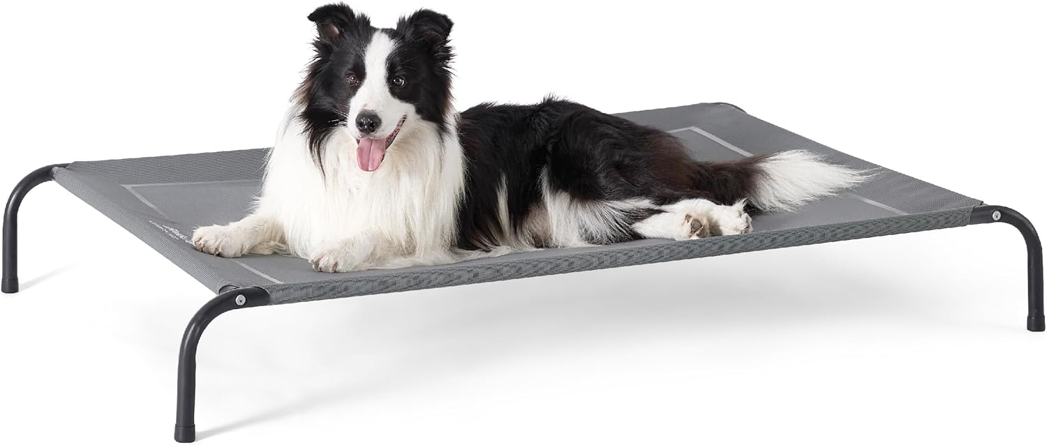Ultimate Comfort: Bedsure Elevated Cooling Cot for Large Dogs Review