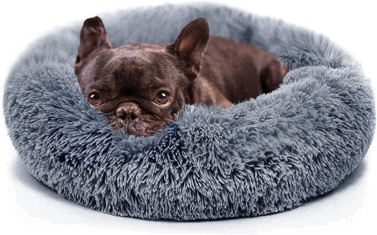 Ultimate Comfort: Reviews of the Small Calming Dog Bed for Your Furry Friend