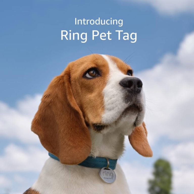 Unlock Your Pet's Safety: The Ultimate Guide to the Ring Pet Tag