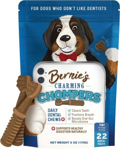 Revitalize Your Pup's Smile: Bernie's Charming Chompers Daily Dental Chews Review