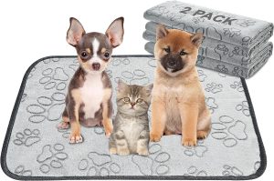 Top Picks: Qeils Reusable Puppy Pads Reviewed!