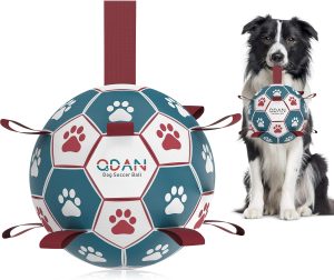 Ultimate Fun: QDAN Dog Balls - The Perfect Interactive Toy for Your Furry Friend!