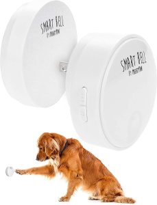 Unlock Smart Training: Review of the Mighty Paw Smart Bell 2.0 for Dogs