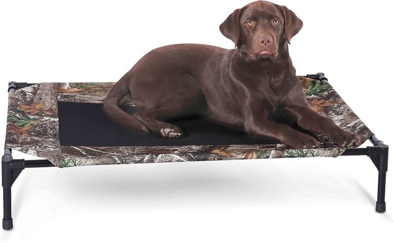 Chill Out in Style: K&H Pet Products Elevated Dog Cot Review