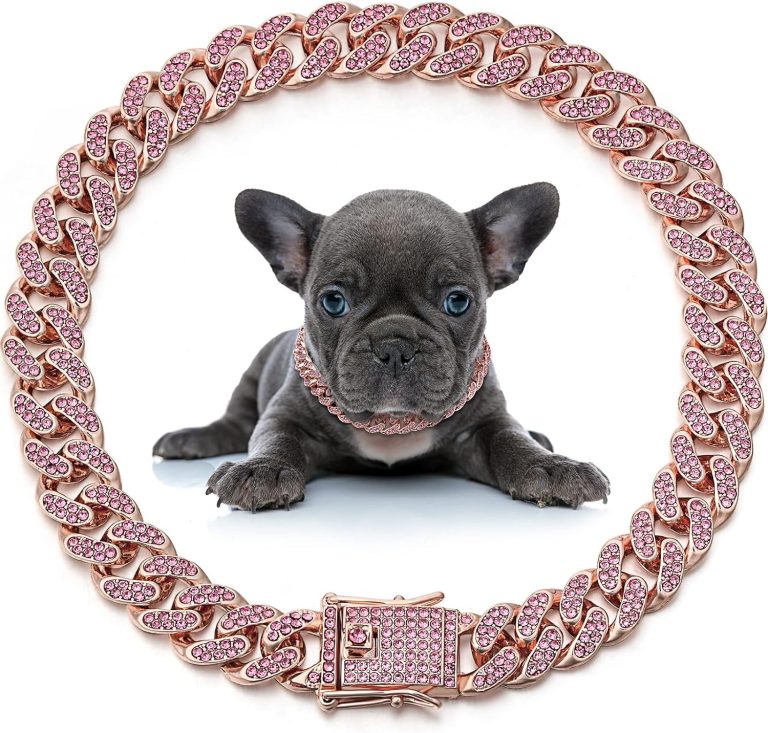 Elegant & Durable: LEIFIDE Rose Gold Dog Chain Collar Review