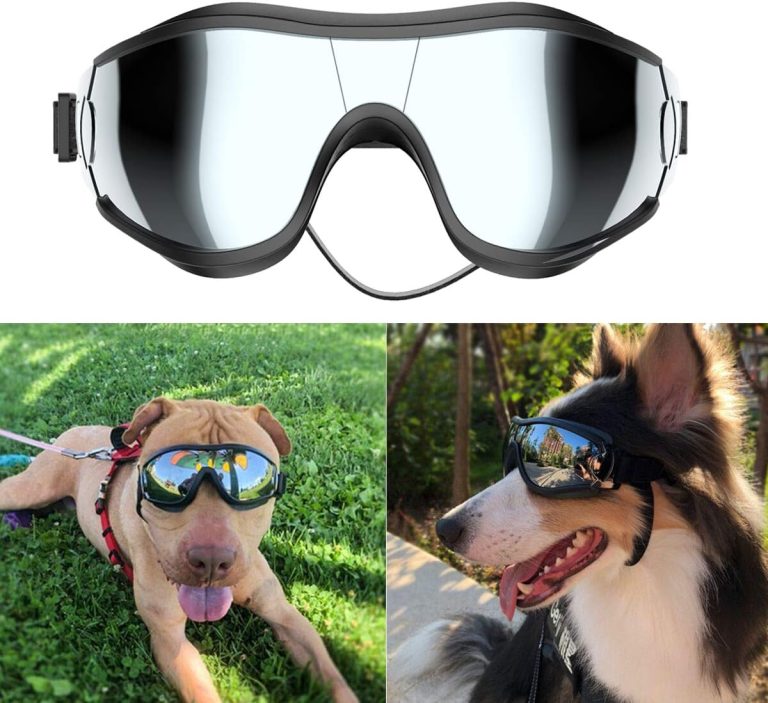 Protect Your Pup: NVTED Dog Sunglasses for Ultimate Eye Safety!