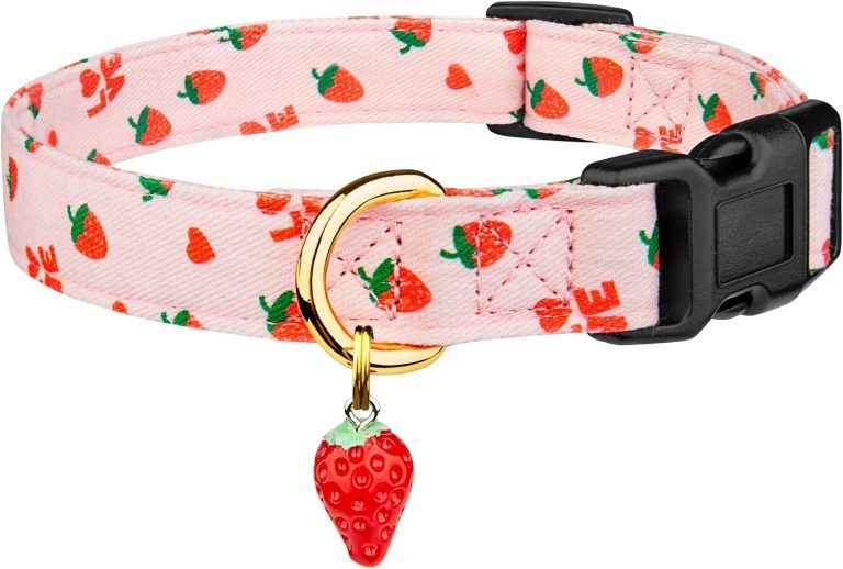 Stylish & Sweet: Review of the Cotton Handmade Pink Strawberry Dog Collar