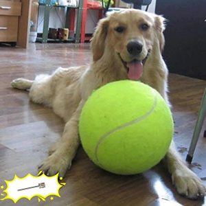 Unleash the Fun: Giant 9.5" Dog Tennis Ball Review – Perfect Playtime for All Dogs!